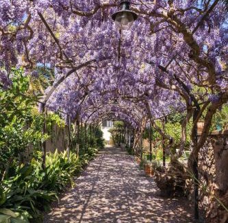 Tiberio Villa | Family-Friendly Stay at Villa Marino - Aurora Retreat