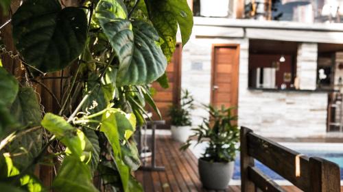 Arraial d'Ajuda House | Pet-Friendly Villa Maritaca: Oceanfront Retreat with Pool