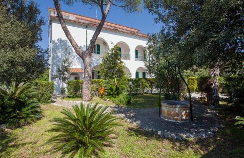 Lama Bed & Breakfast | Villa Marta: Oceanfront Retreat with Private Beach Amenities