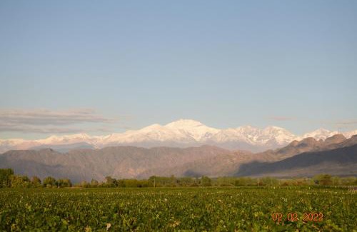 Lujan de Cuyo Bed & Breakfast | Villa Mendotza: Guest Rated 10/10 with Pool Access