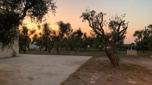 Muro Leccese Villa | Pet-Friendly Villa Mios with Top Guest Rating of 9.7
