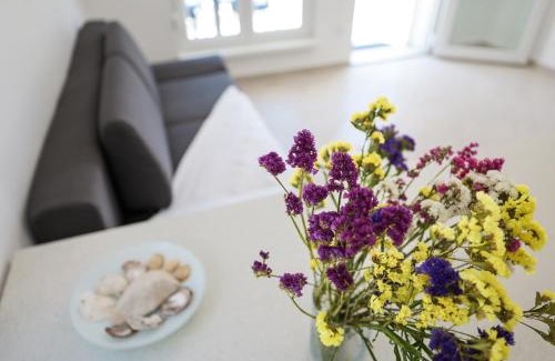 Petrcane Apartment | Villa Mir Punta Radman