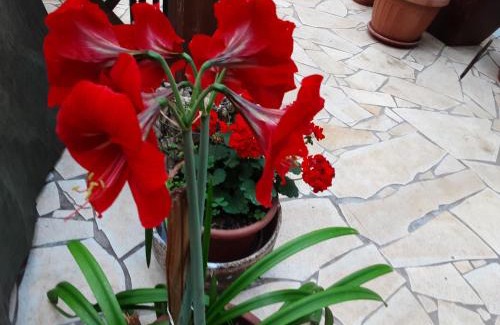 Miskolc-Tapolca House | ViLLA MISKOLCTPOLCA,
