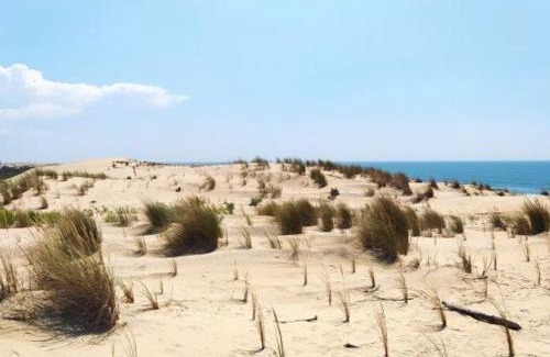 La Palmyre House | Discover Maison La Palmyre: Family-Friendly 4-Star Retreat