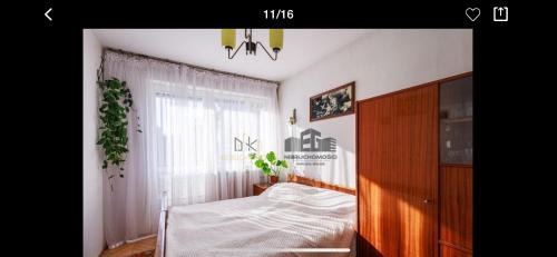 Swinoujscie Villa | Discover Villa Monte Carlo: Ideal for Family Getaways
