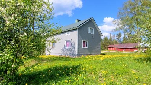 Rautjarvi Apartment | Relaxing Villa Mummola: 4-Star Riverfront Retreat