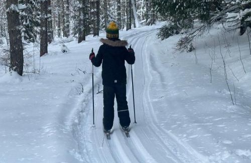 Parikkala Villa | Discover Ulkoporeamme Niemelä: Pet-Friendly Beach Retreat
