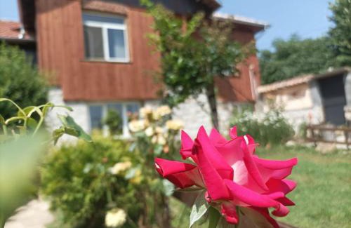 Balkan Mountains Villa | Relax at Villa Nina in Kramolin - Rated 9.5, Pet Friendly