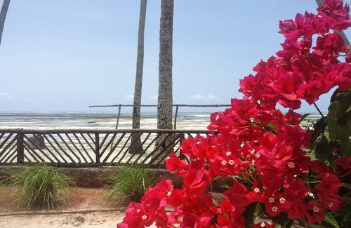 Kiwengwa Villa | Villa Noah Beach: Ocean View Retreat with Spa & Family-Friendly Perks