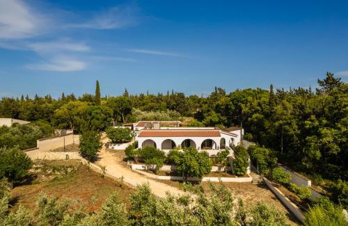 Antipata House | Pet Friendly Getaway at Villa Noi - Zoi The Studio