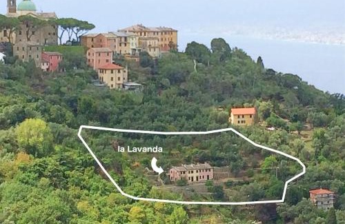 San Rocco Apartment | Family-Friendly Villa Olivari - Apt La Lavanda, Rated 8.6