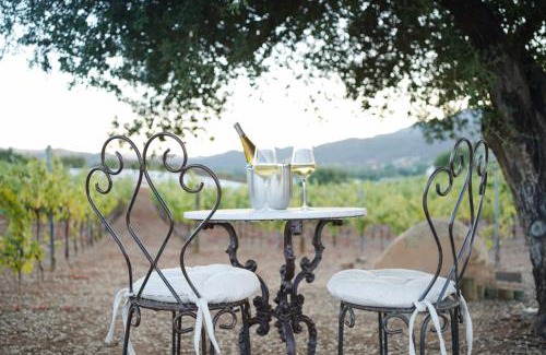 Murrieta Villa | Villa on 5 Acre Vineyard Equestrian Estate, Pool & Hot tub, Events
