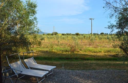 Piombino Bed & Breakfast | Eco-Friendly Villa Orta: Vegan Cuisine & Pet Friendly Stay