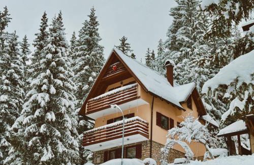 Babanovac House | Oceanfront Villa "Pahulja" - Guest Rated 9.5/10