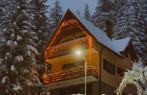 Babanovac House | Oceanfront Villa "Pahulja" - Guest Rated 9.5/10