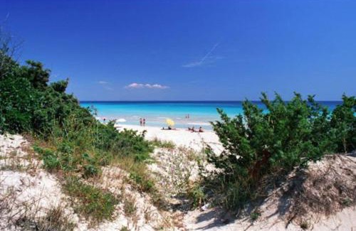 Punta Prosciutto Villa | Villa Palma: Steps from the Sea, Pet-Friendly Retreat
