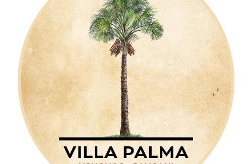 Pangani Villa | Experience Villa Palma: Oceanfront Retreat with Pet-Friendly Perks