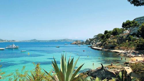 Peguera Hotel | Villa Palmer I Beachhouse: Pet-Friendly Paradise Awaits
