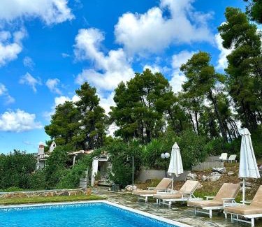 Alikias Villa | Villa Pine Trees: Pet-Friendly Oasis with 9.9/10 Rating