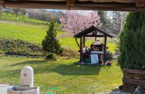 Semizovac Apartment | Discover Villa Platinus: Pet-Friendly Family Retreat