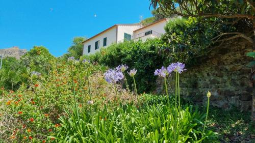 Portoferraio Villa | Villa Podere I Cavalieri: Guest Rated 9.5 with Ocean Views