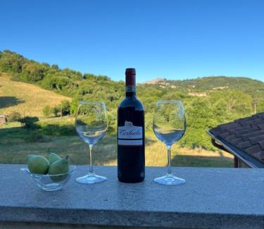 Castel del Piano Villa | Experience Villa Podere Vista Verde: Oceanfront Bliss Awaits