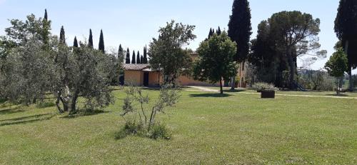 Marciano della Chiana House | Unforgettable Villa Poggio le Vignacce with Ocean View