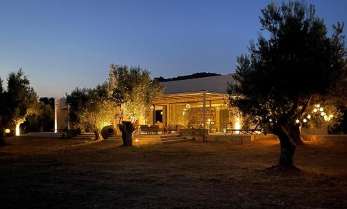 Alyfanta House | Discover Villa Port Olivier: Oceanfront Retreat with Hot Tub