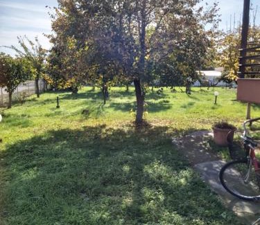 Fiki Apartment | Pet-Friendly Villa Residenz Sofia: Rated 9/10 for Comfort