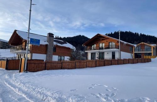 Bakuriani Villa | Villa Rodonson: Family-Friendly Stay with Perfect 10 Rating