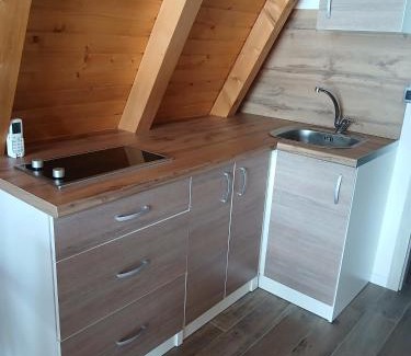 Mali Radic House | Villa Rustic