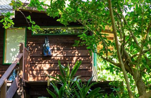 Tamagusuku-son Villa | Villa SACHIIBARU: Oceanfront Bliss with 10/10 Guest Rating