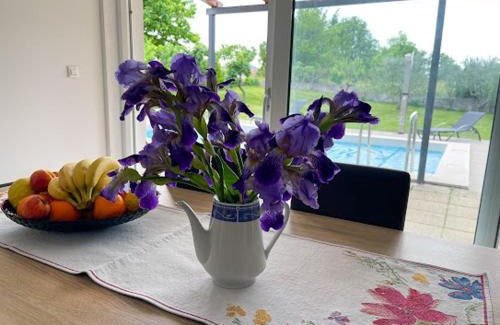 Cista Provo House | Villa Sara: Pet-Friendly Retreat with Pool & Family Amenities