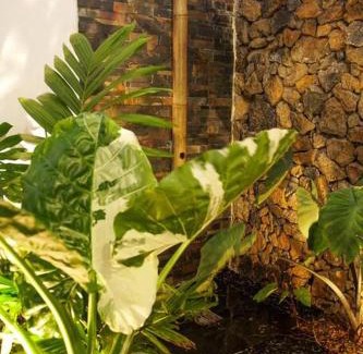 Montvert-les Bas House | Family-Friendly Retreat at Villa Savio: Perfect for Kids