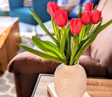 Dahme Apartment | Guest Rated: Villa Seewind Whg 18 Hühnergott Awaits You