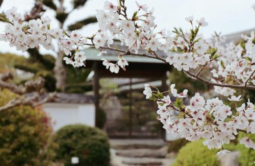 Hinasecho Hinase Villa | Villa SHINOBI -忍-: Pet-Friendly Retreat with 9.4 Rating