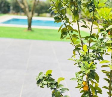 Kamez Villa | Villa Siena