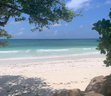 Amitie Villa | Relax at Villa Sofia: 4-Star Oceanfront Retreat