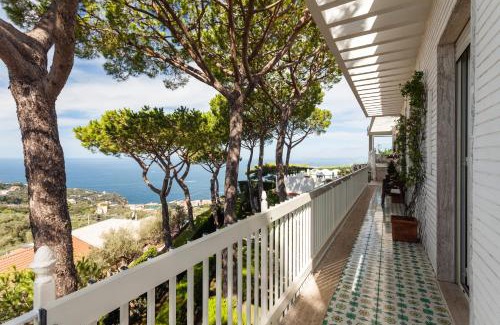 Schiazzano Villa | Villa Sole di Capri - Oceanfront Retreat with Spa & Pool