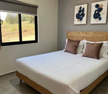 San Antonio de las Minas Hotel | Discover Villa Sophia in Valle de Guadalupe - Pet Friendly Retreat