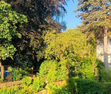 Gorny Sopot Apartment | Villa Sopot Studio Zacisze: Family & Pet-Friendly Escape