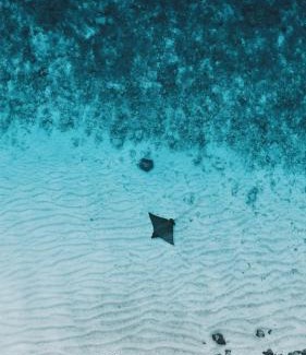 Rinbudhoo House | Experience Villa Stella: Beachfront Getaway in Rinbudhoo