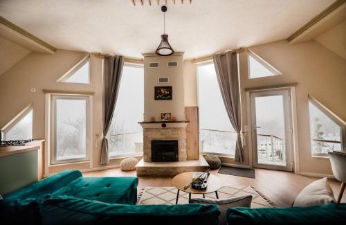 Sighetu Marmatiei Villa | Villa Stradivaryus