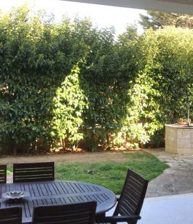 Brindisi Bed & Breakfast | Family-Friendly Getaway at Villa Susanna with Great Reviews