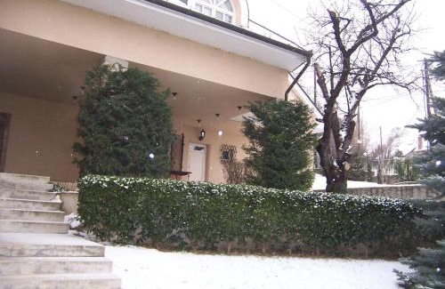 Szentendrei House | Villa Székely: Pet-Friendly Escape with Pool and Spa