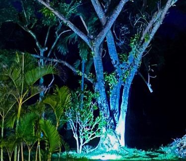 Samana Villa | Oceanfront Villa Talanquera: A 4-Star Family Retreat