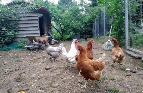 Pontevedra House | Villa Tana: A Family and Pet-Friendly Shared Haven