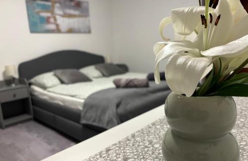Buk Apartment | Family-Friendly Villa Tara Bük with a 9.6 Guest Rating