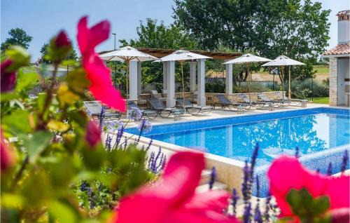 Kastelir House | Discover Villa Terrarossa Kastelir: Family & Pet Friendly
