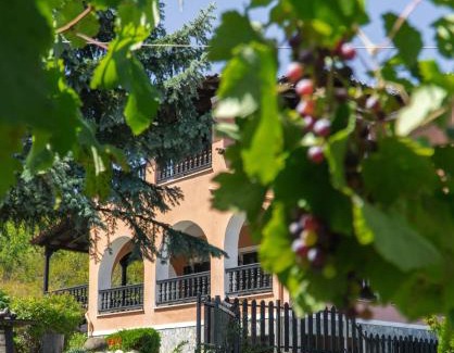 Zakas Villa | Pet-Friendly Villa Tethys Mountain Resort - Rated 10/10